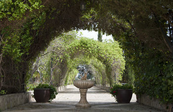 Finca Sa Garriga ビニサレム エクステリア 写真